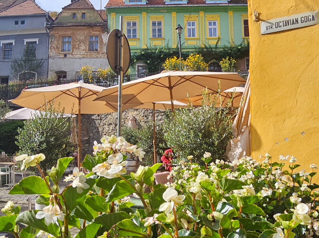 Centrul Istoric Sighișoara-锡吉索拉必去景点