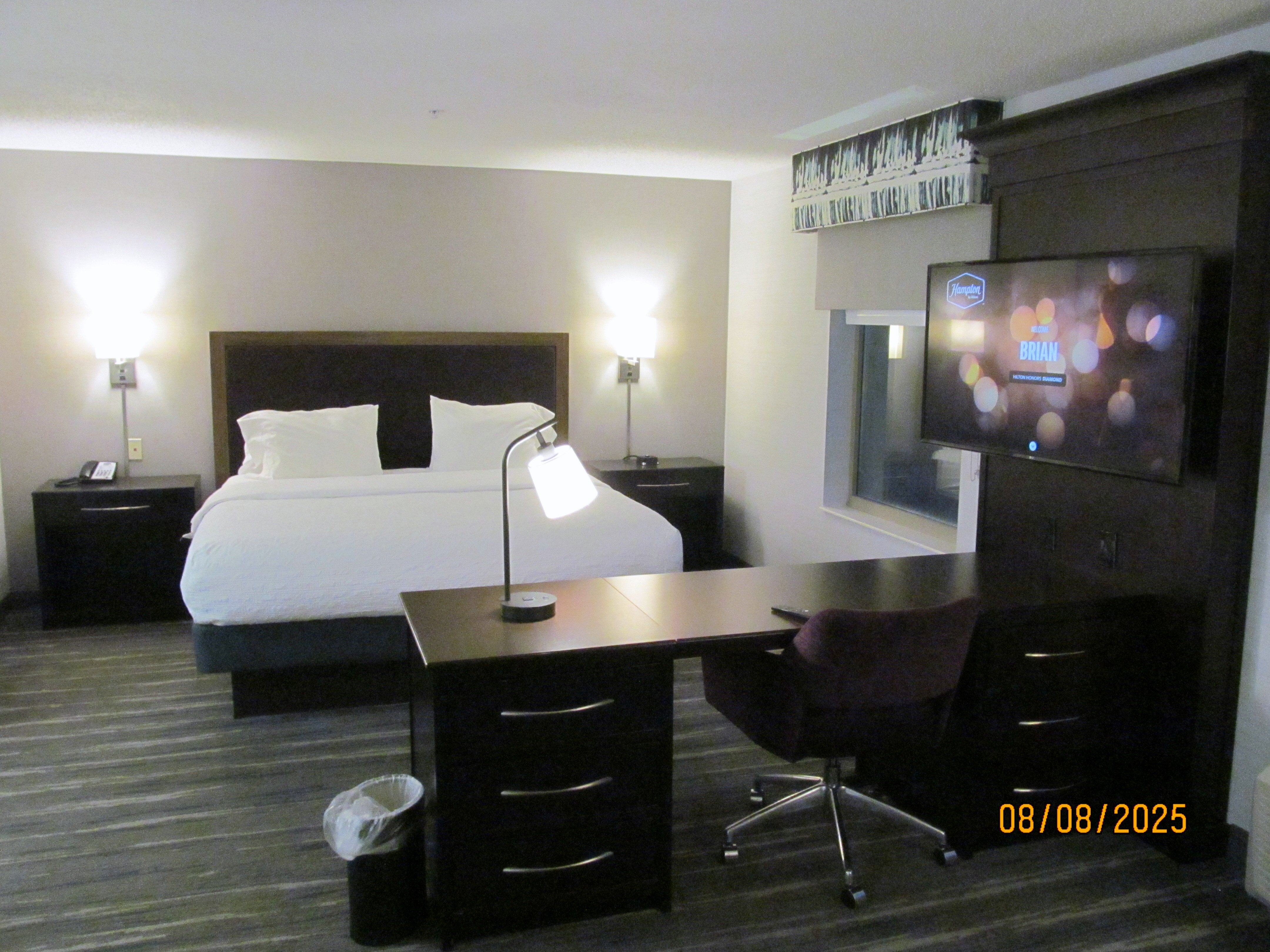 Hampton Inn & Suites Flint/grand Blanc-客卧