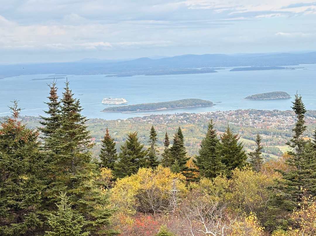Oli's Trolley - Acadia National Park Tour-巴港必去景点