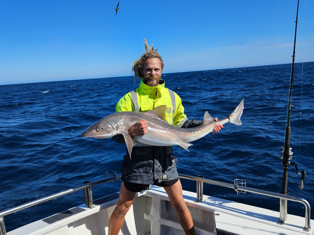 Reef Encounters Fishing Charters-Marion Bay必去景点
