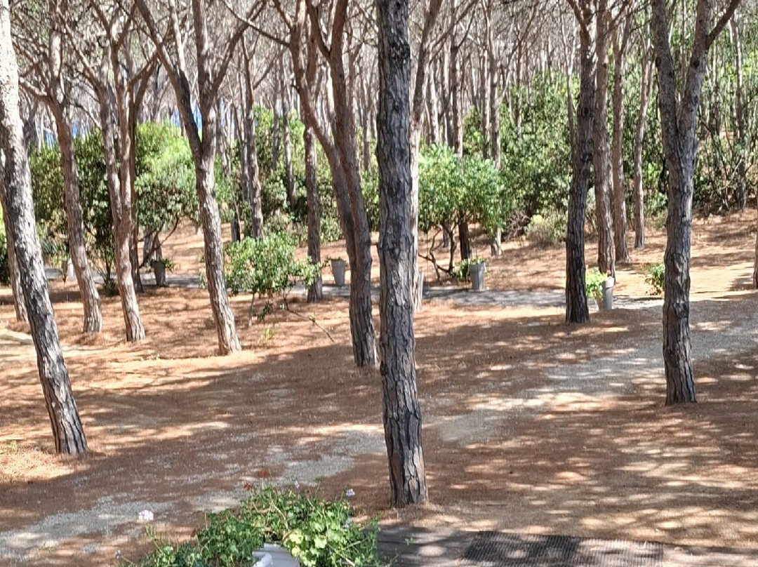 Tui Blue Matta Village Beach-Matta E Peru必去景点