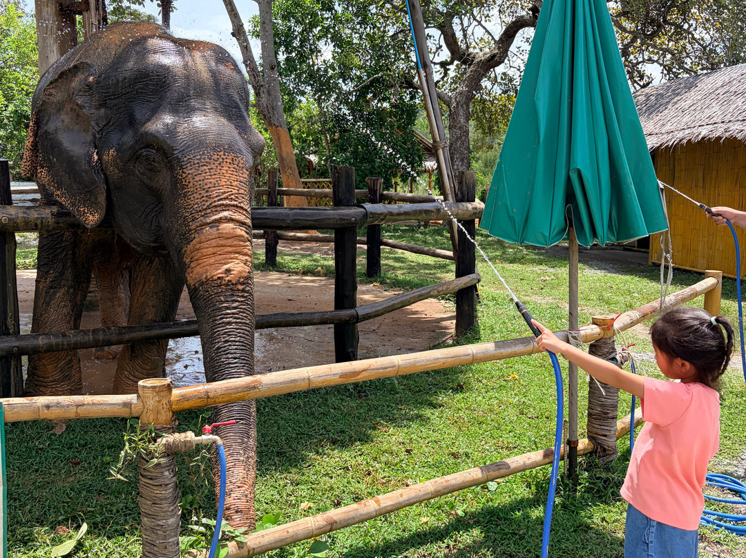 Koh Yao Elephant Beach-阁耀亚伊岛必去景点
