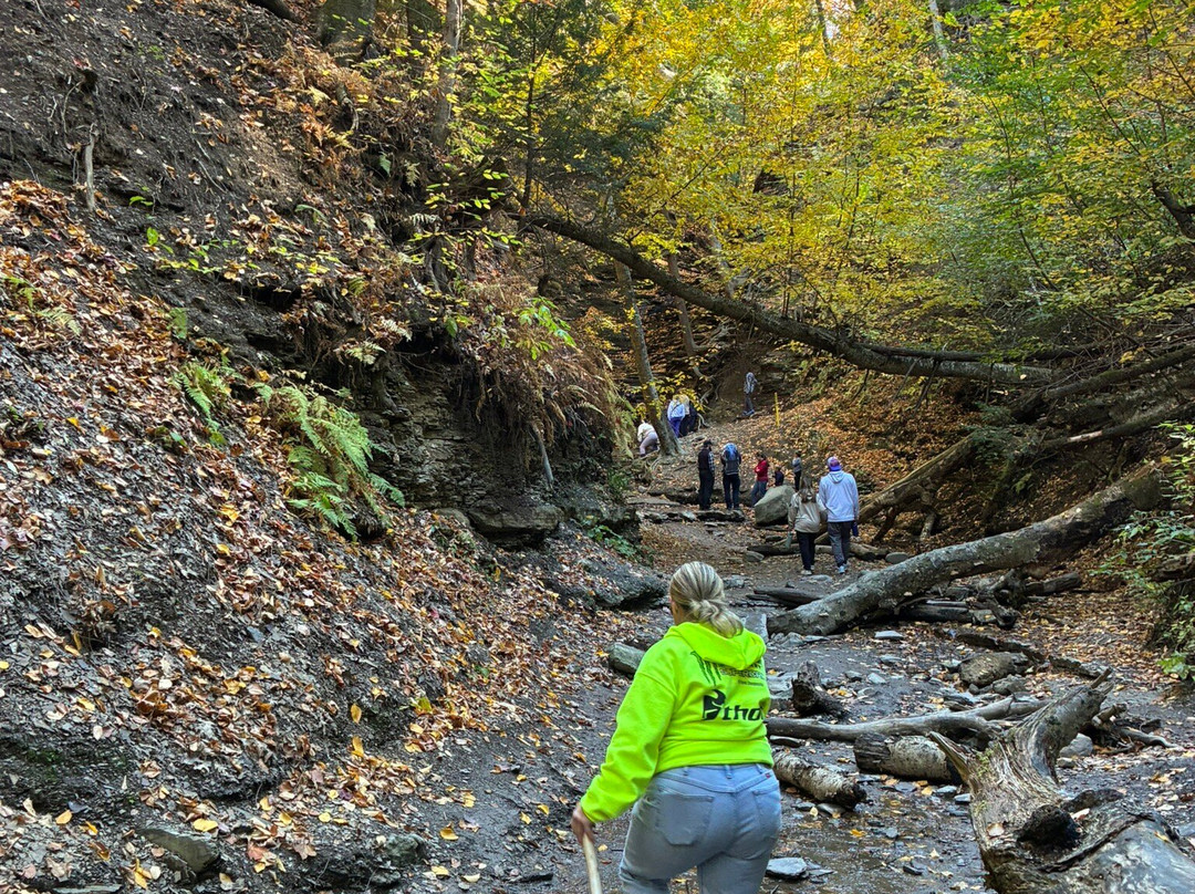 Eternal Flame Falls-Orchard Park必去景点