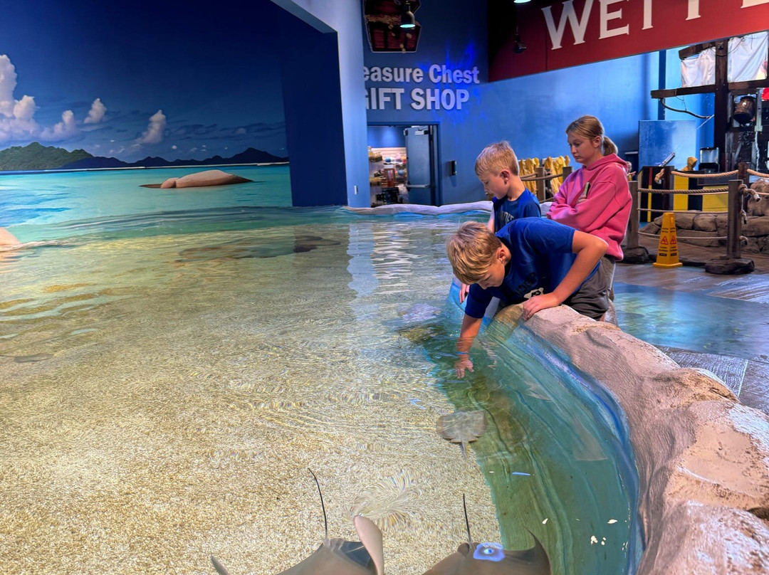 Blue Zoo Aquarium-西得梅因必去景点