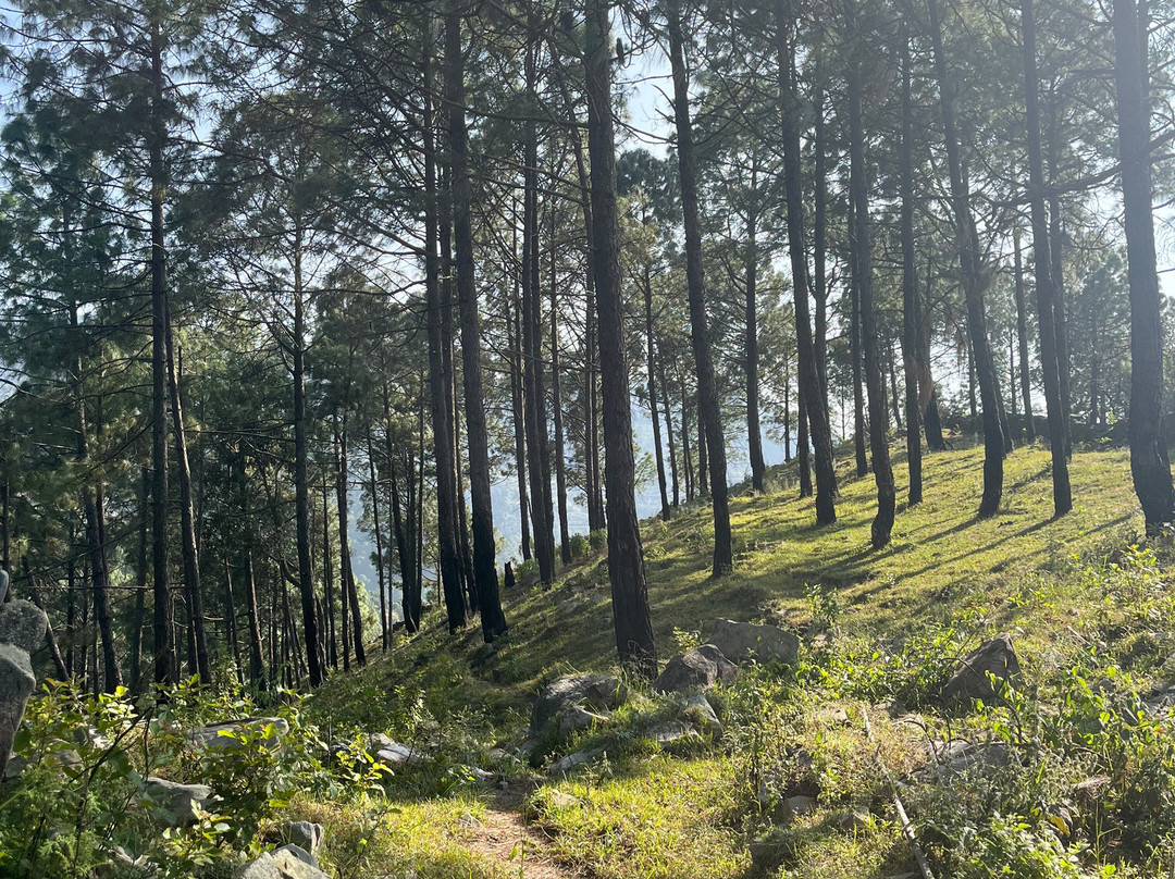 Renz Himalayan Retreat主图