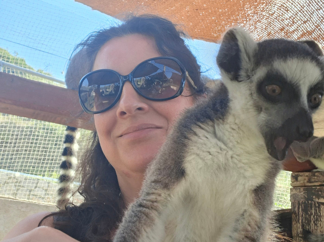 Farma of Rhodes Petting Zoo-罗德斯必去景点