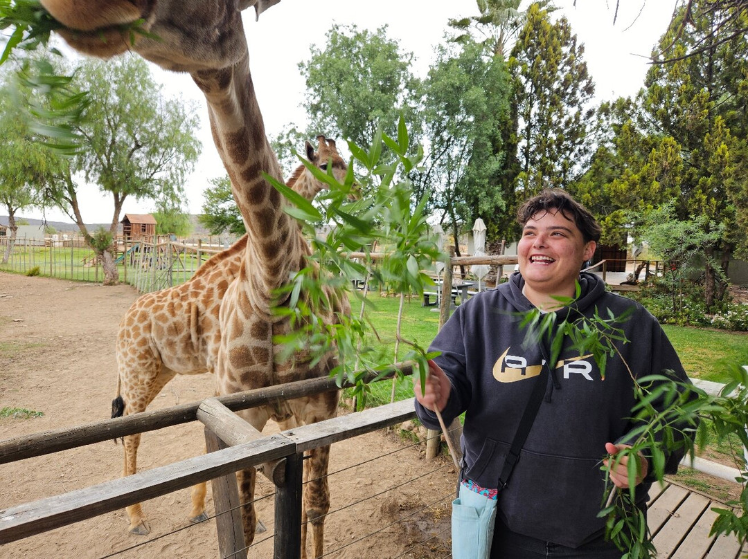 Chandelier Game Lodge & Ostrich Show Farm-奥兹洪必去景点