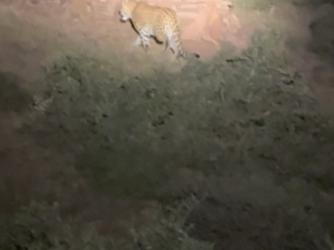 BOUT INDIA TOURS-斋蒲尔必去景点