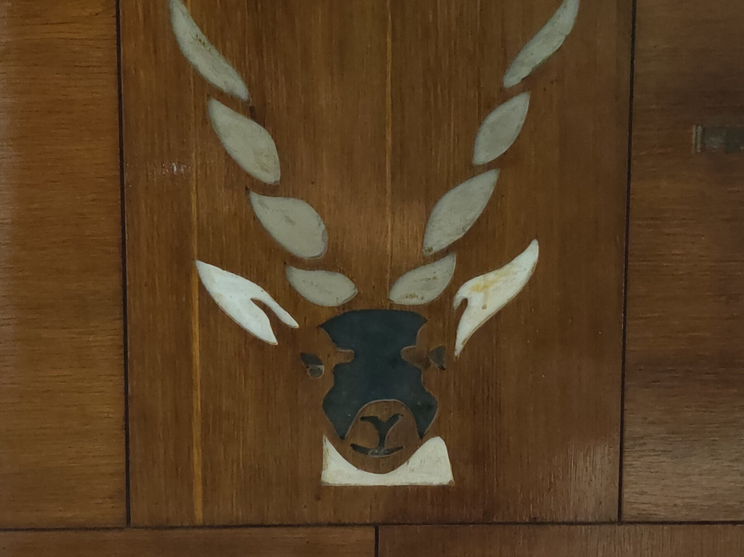 Blackbuck Safari Lodge主图