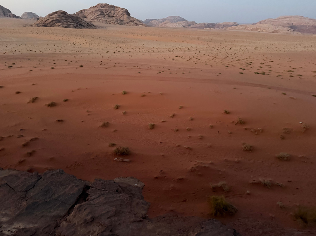 Wadi Rum Desert Adventures - Day Tours-Wadi Rum Village必去景点