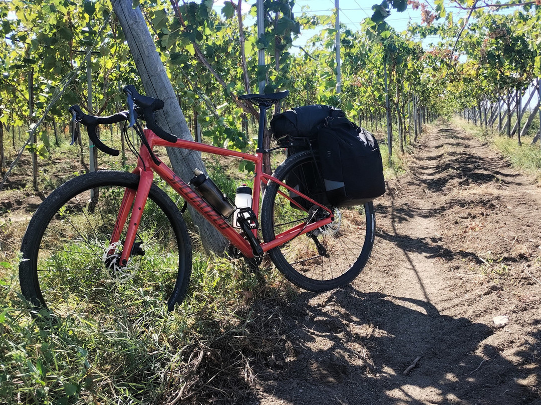 Puglia in Movimento-巴里必去景点