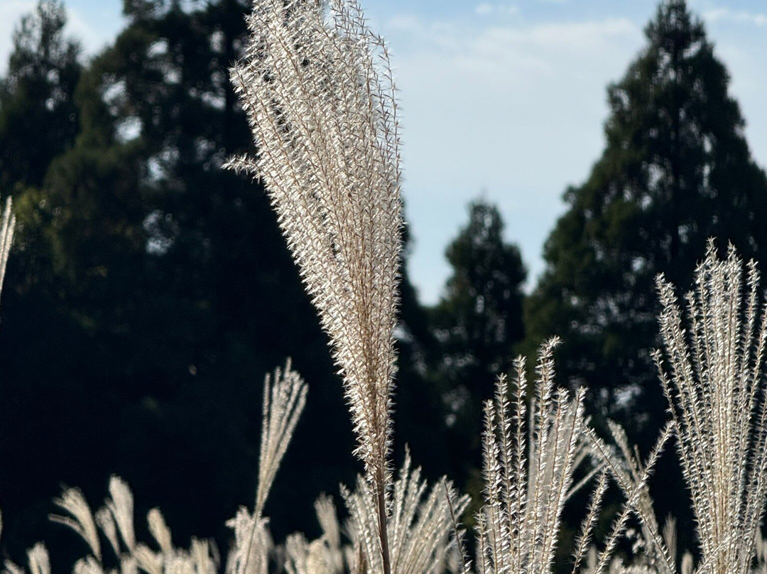 Hoshino Resort KAI Kirishima主图