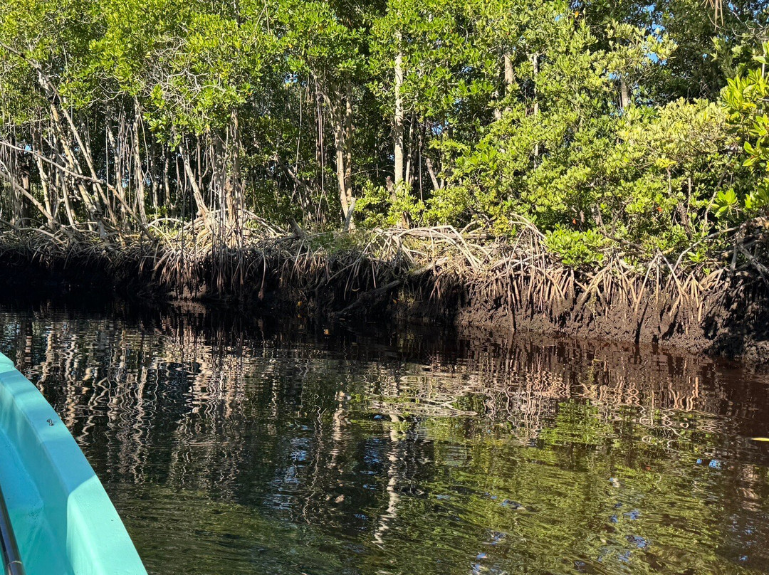Tarpon Town Anglers-坎佩切州必去景点