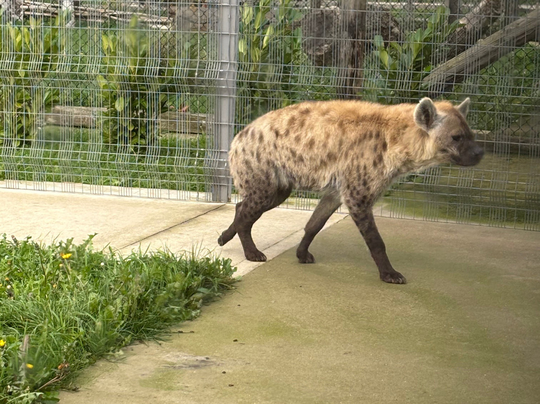 Wolds Wildlife Park-Horncastle必去景点