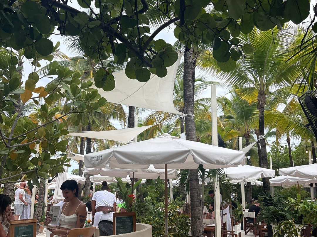 Nikki Beach-迈阿密海滩必去景点