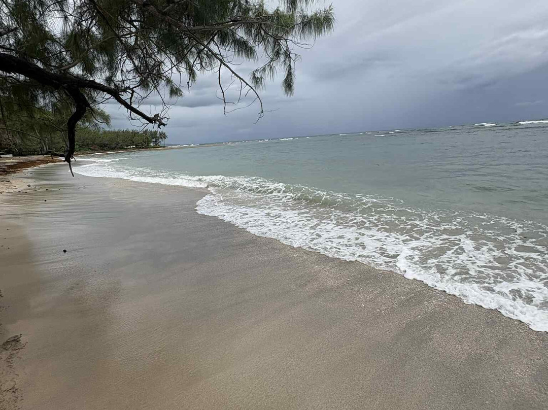Ocean Echo Stables-Saint John Parish必去景点