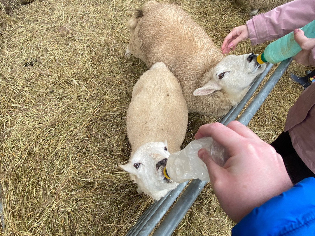 Loch Ness Hub & Travel-德拉姆纳德罗希特必去景点