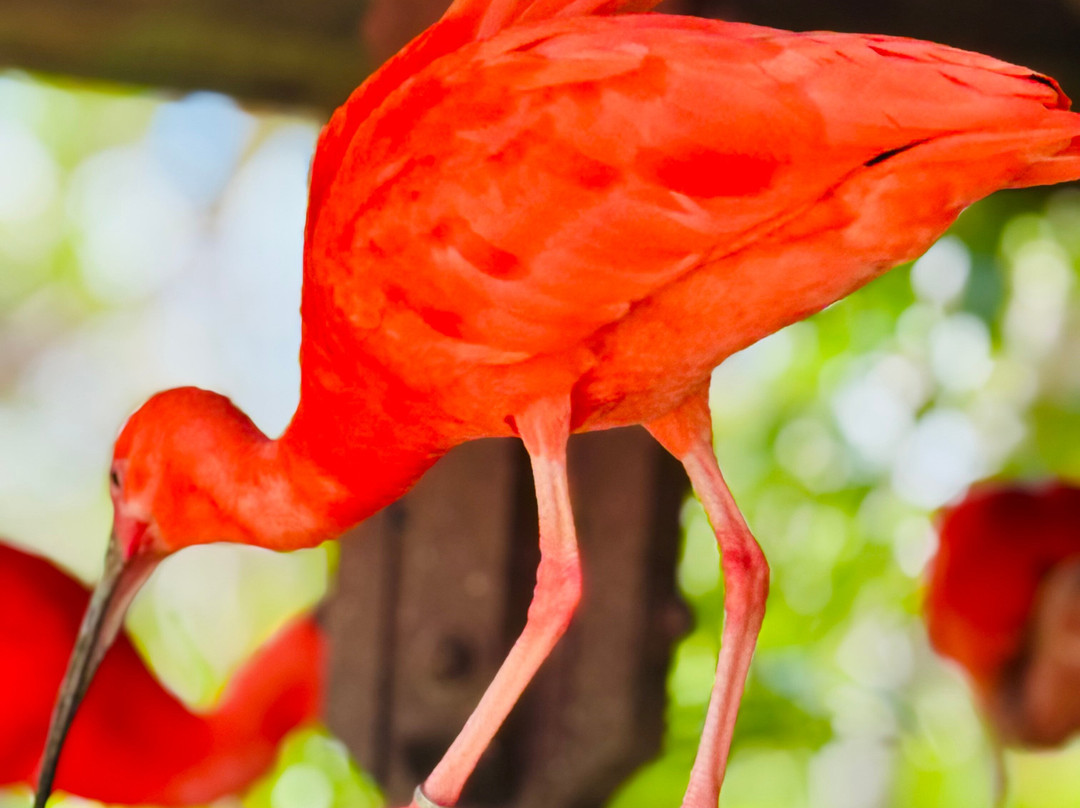 Parque Arvorar-Aquiraz必去景点