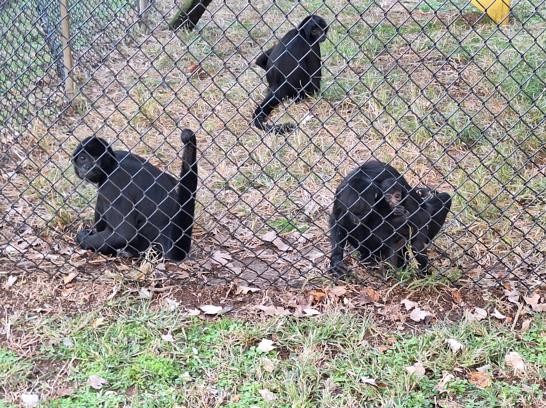 Metro Richmond Zoo-Moseley必去景点