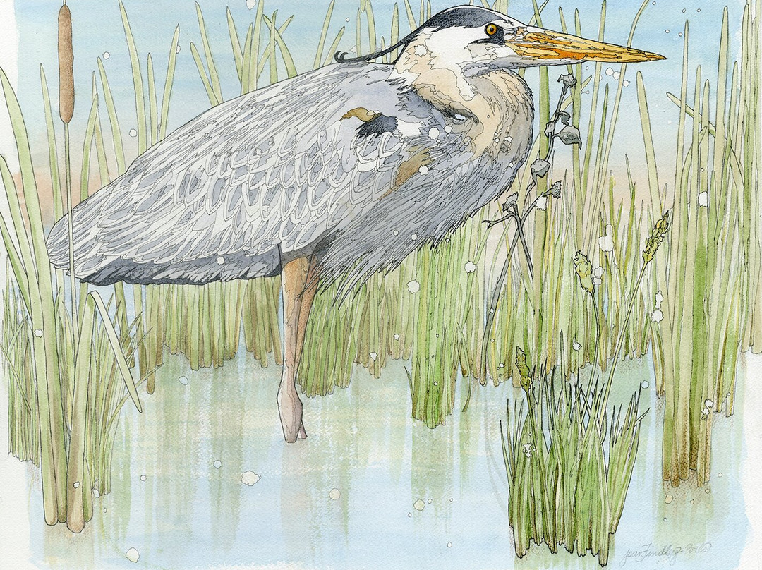 Corrales Bosque Gallery