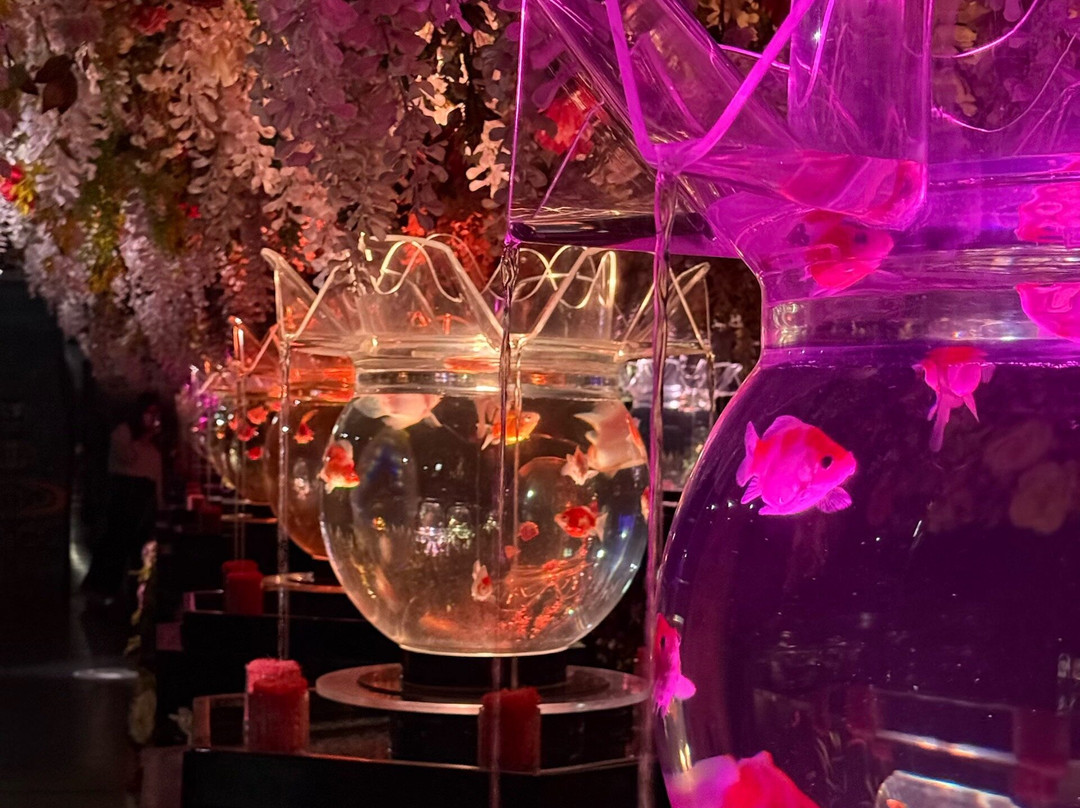 Art Aquarium-Ginza必去景点