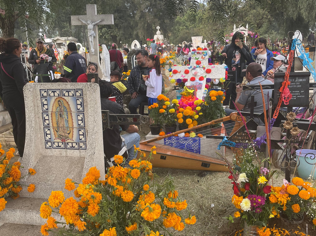 Pata De Perro Mx-墨西哥城必去景点