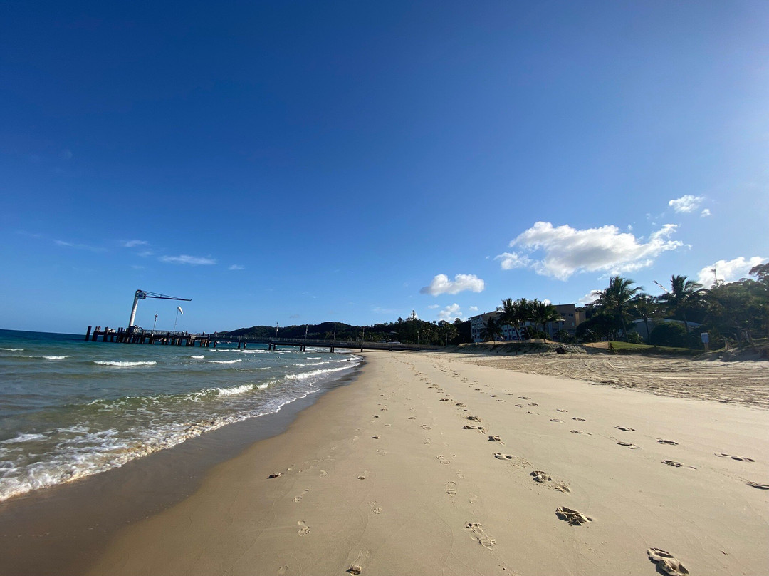 Tangalooma Wild Dolphin Feeding Program-天阁露玛必去景点