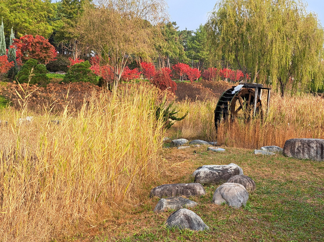 Hanbat Arboretum-大田必去景点