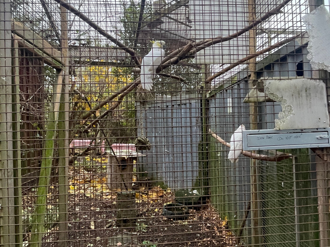 Monkey World-希勒洛必去景点