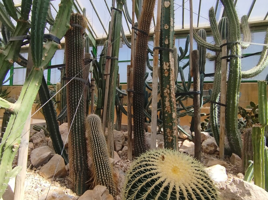 Jardin Botanico de Castilla-La Mancha-阿尔瓦塞特必去景点