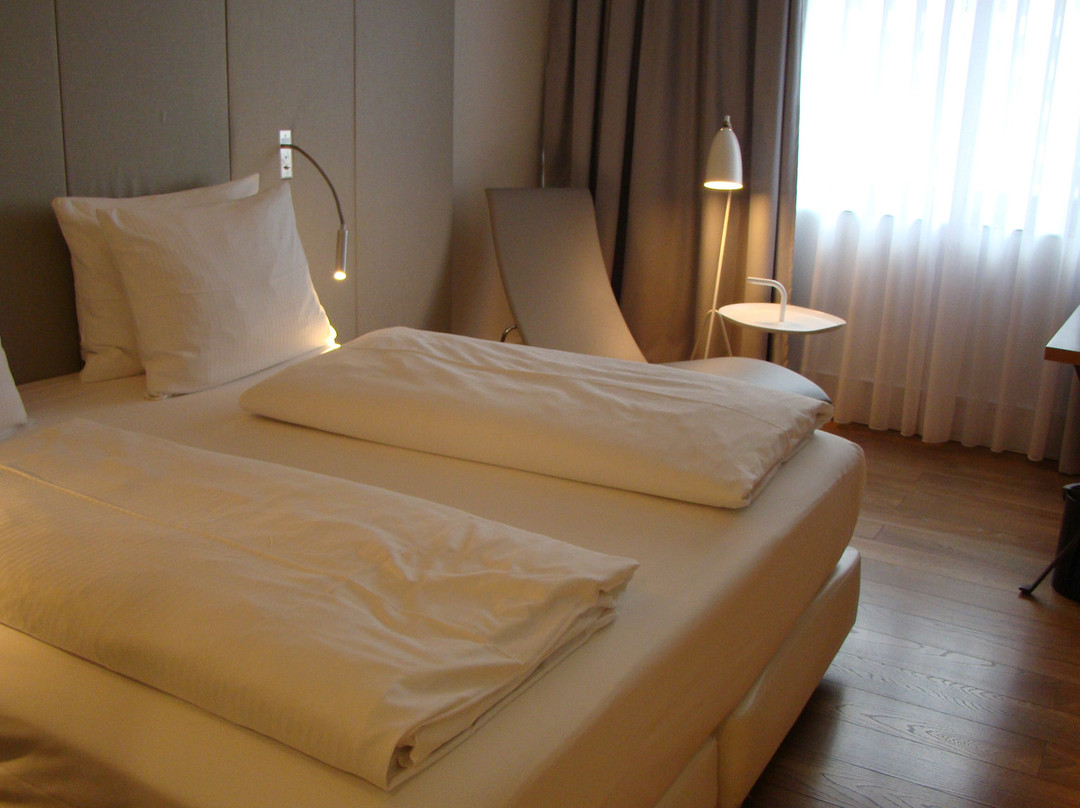 法兰克福温德姆大酒店主图