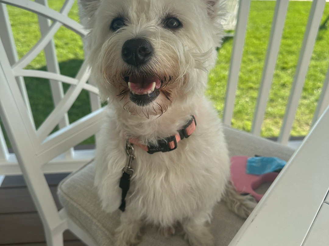 The Oaks Waterfront Hotel主图