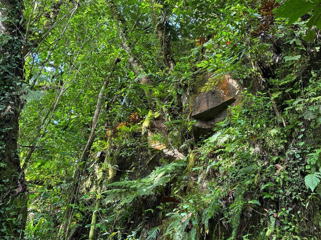 Liduduhniap Falls-朋拜必去景点