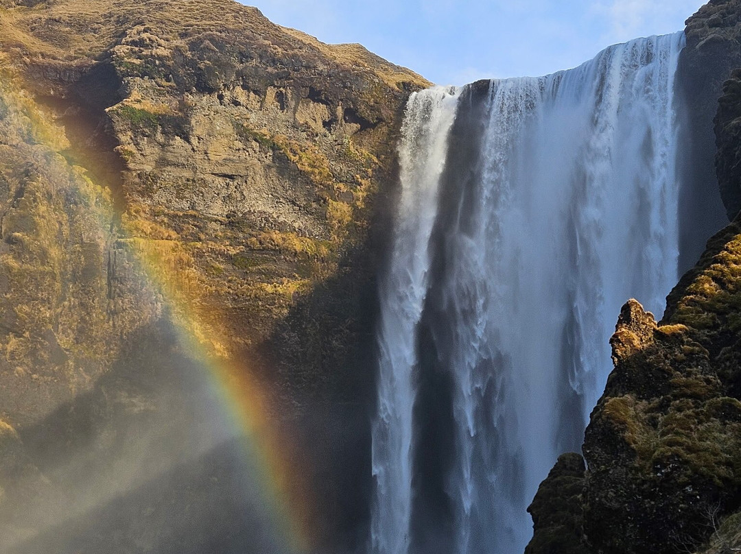 Activity Iceland-雷克雅未克必去景点