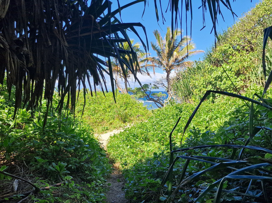 Anahulu Cave - The Underground Swimming Pool-Haveluliku必去景点
