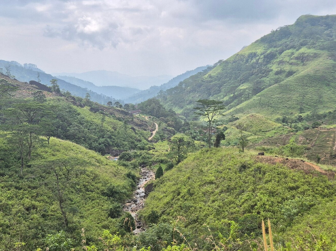 Paradise Island Safari-Gampola必去景点