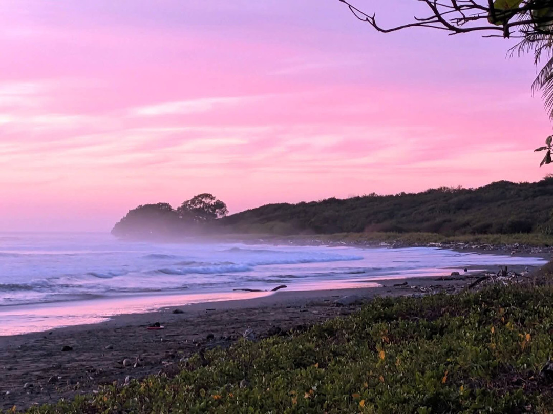 Matt's Fishing & Tours-萨迪纳尔必去景点
