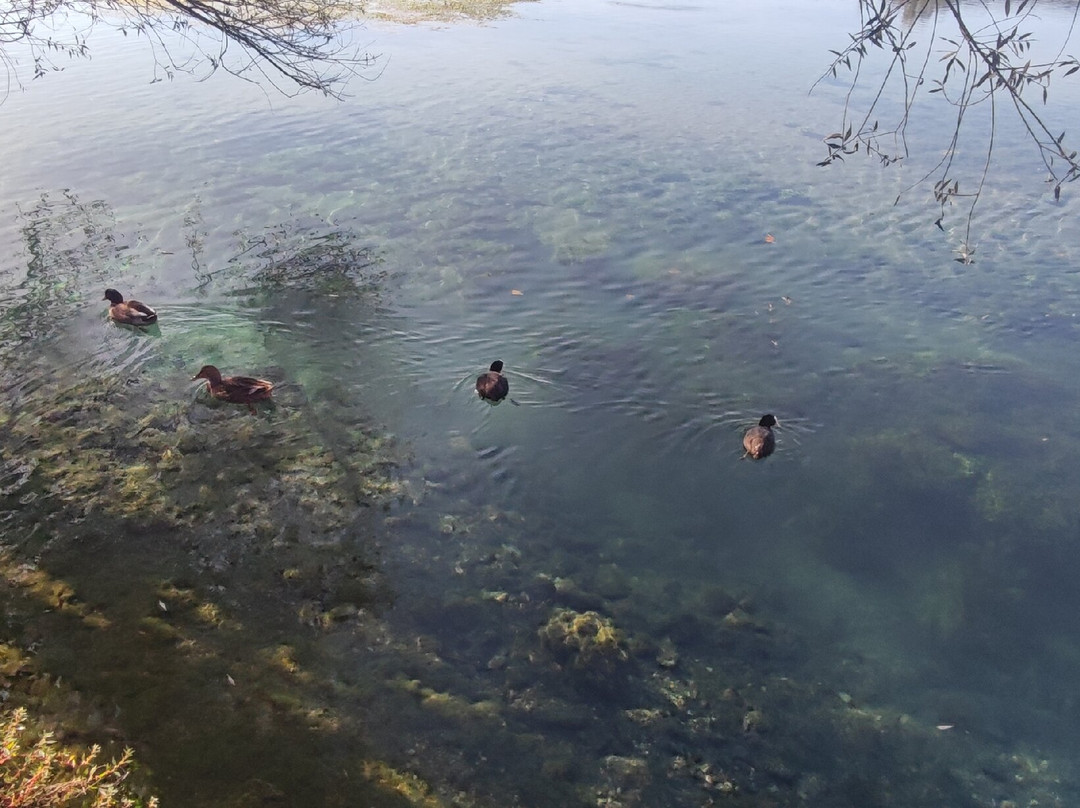 Lago di Posta Fibreno-Posta Fibreno必去景点