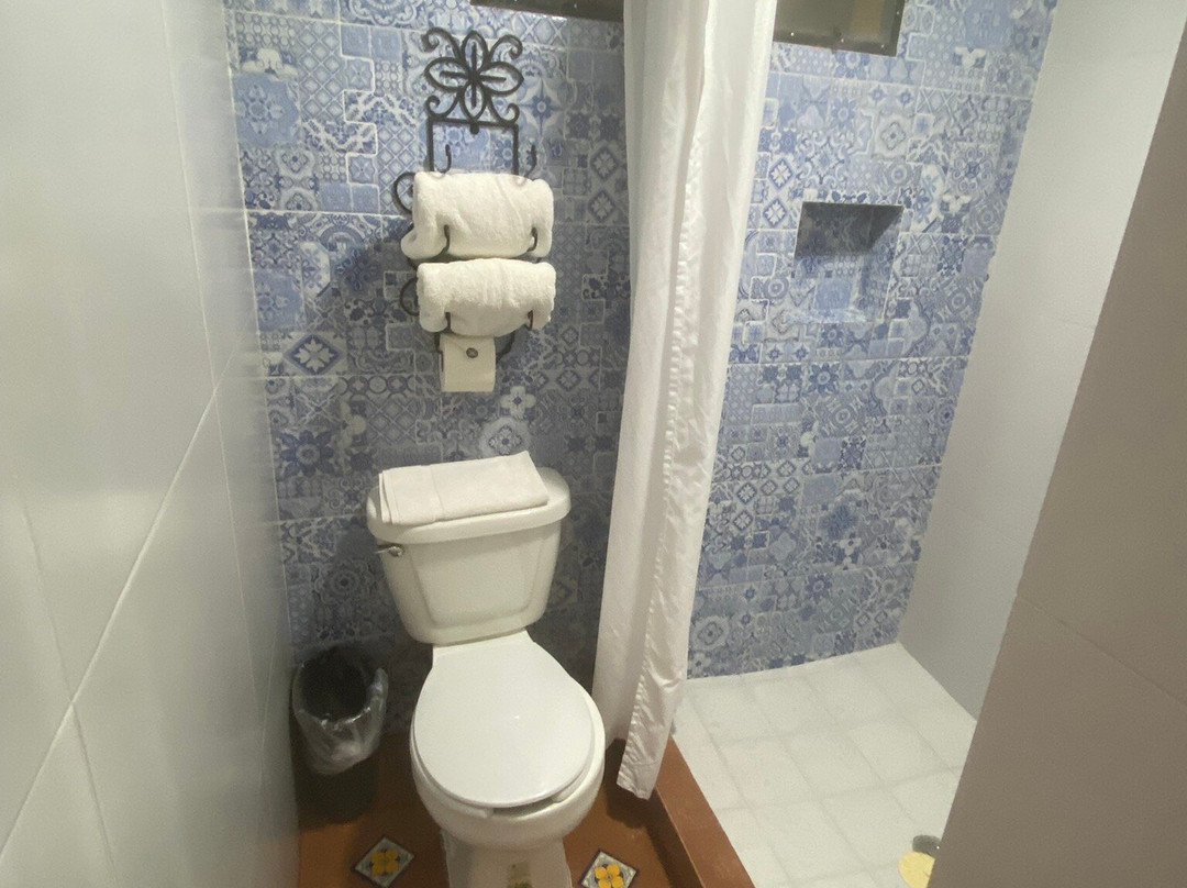 圣米格尔-德阿连德蒙特韦尔德庄园酒店主图