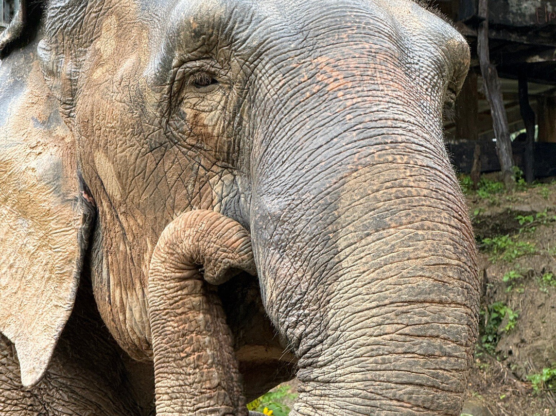 Chang Chill-Mae Win必去景点