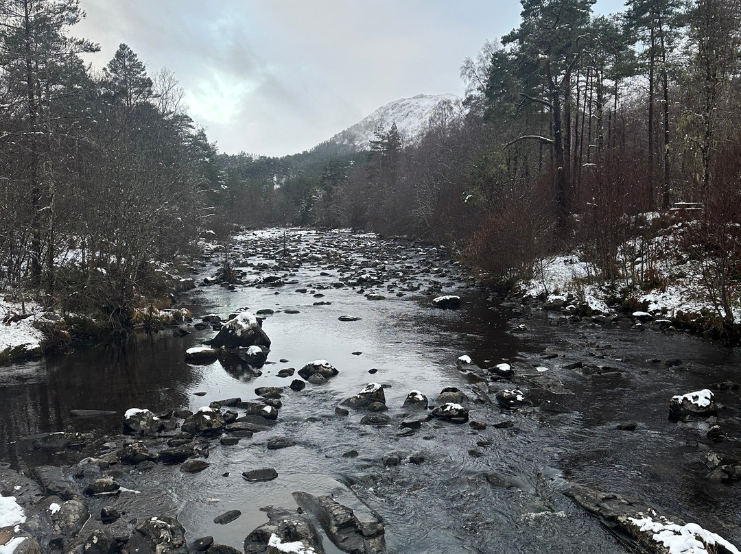 The Beastie Boats-因弗内斯必去景点