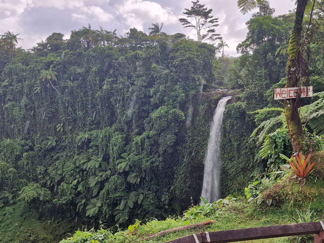 Fuipisia Waterfall-Upolu必去景点
