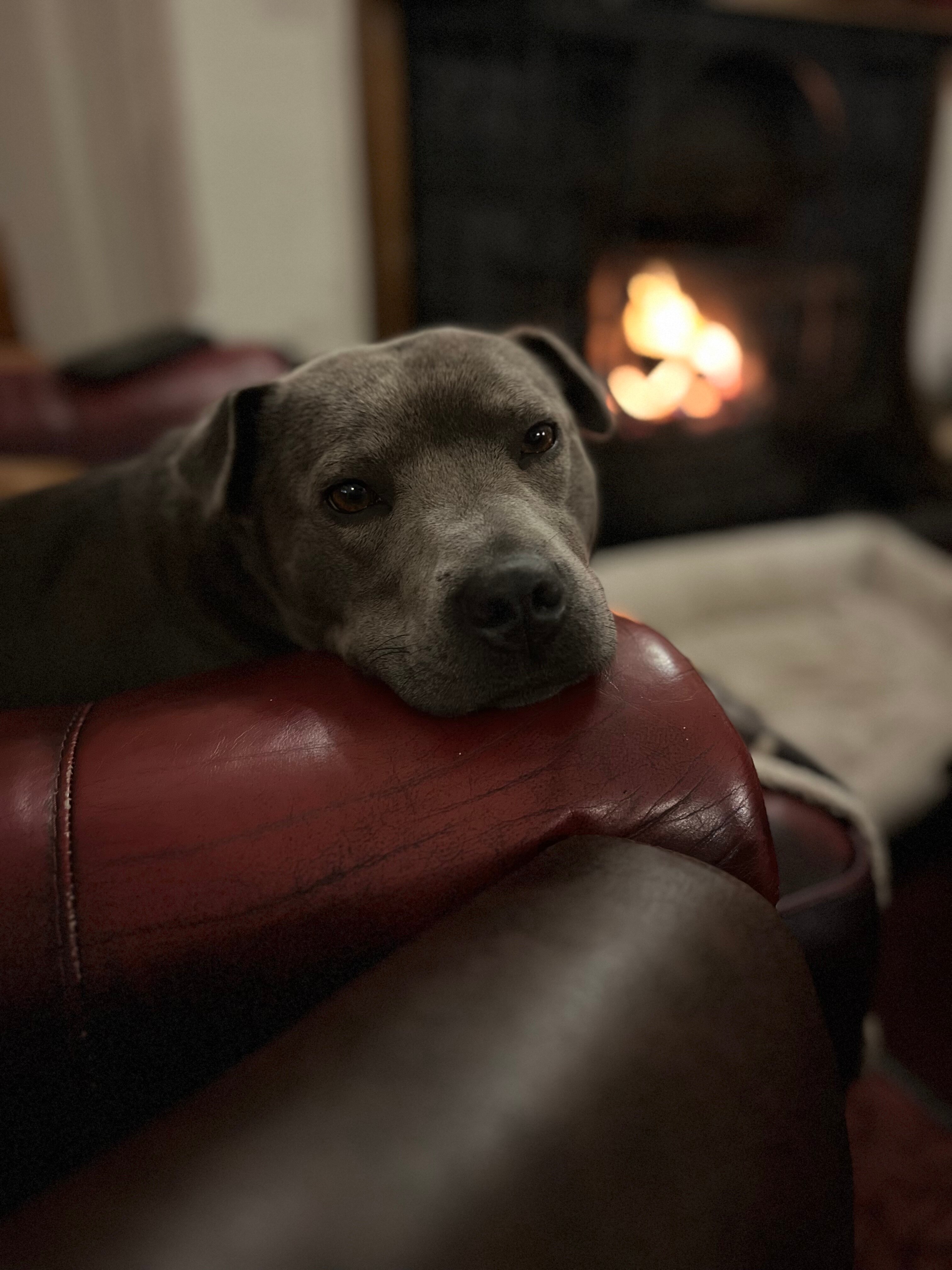 Broughton Craggs Hotel-官方