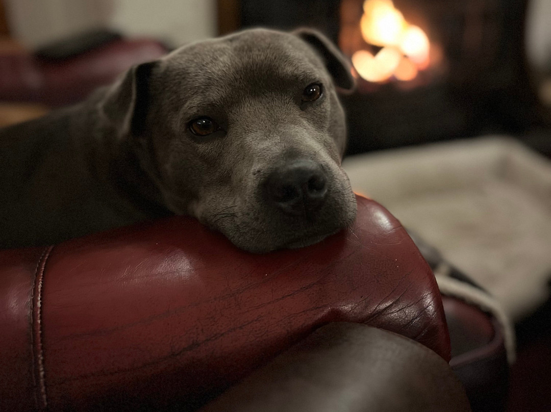 Broughton Craggs Hotel主图