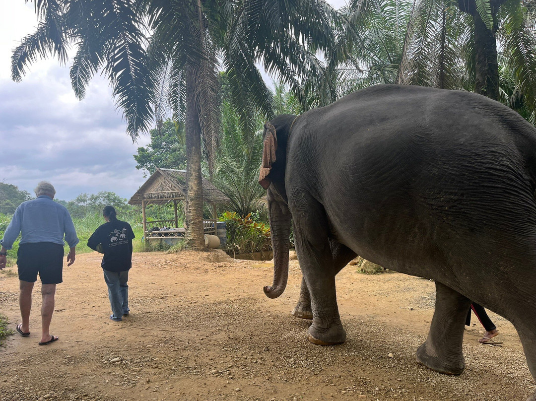 Khao Sok Elephant Sanctuary-拷索国家公园必去景点