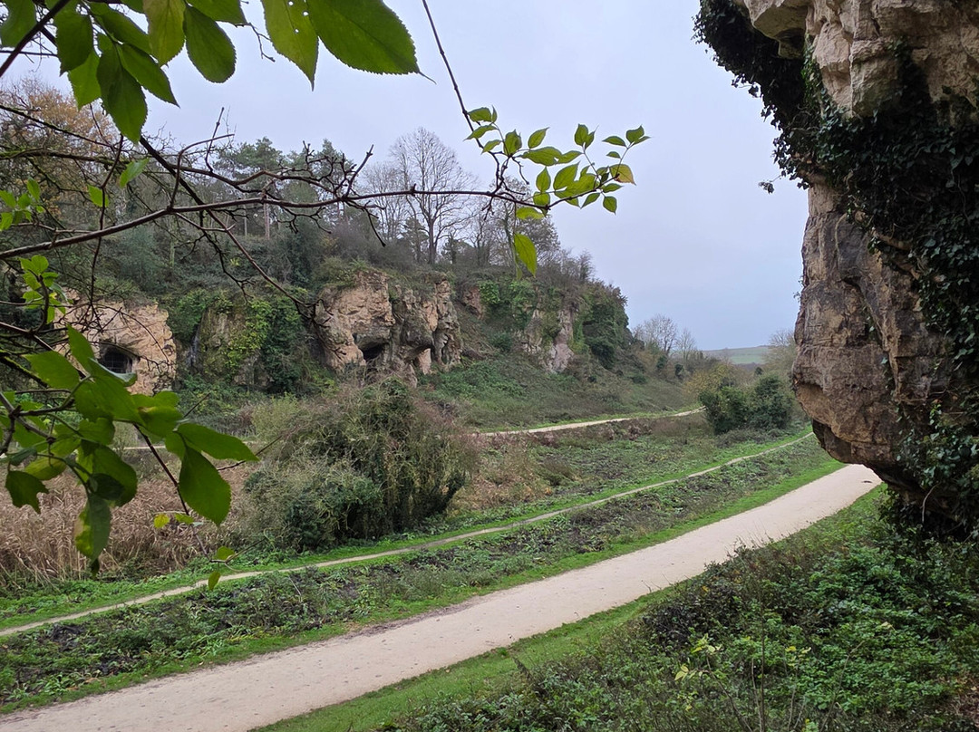 Creswell Crags-沃克索普必去景点
