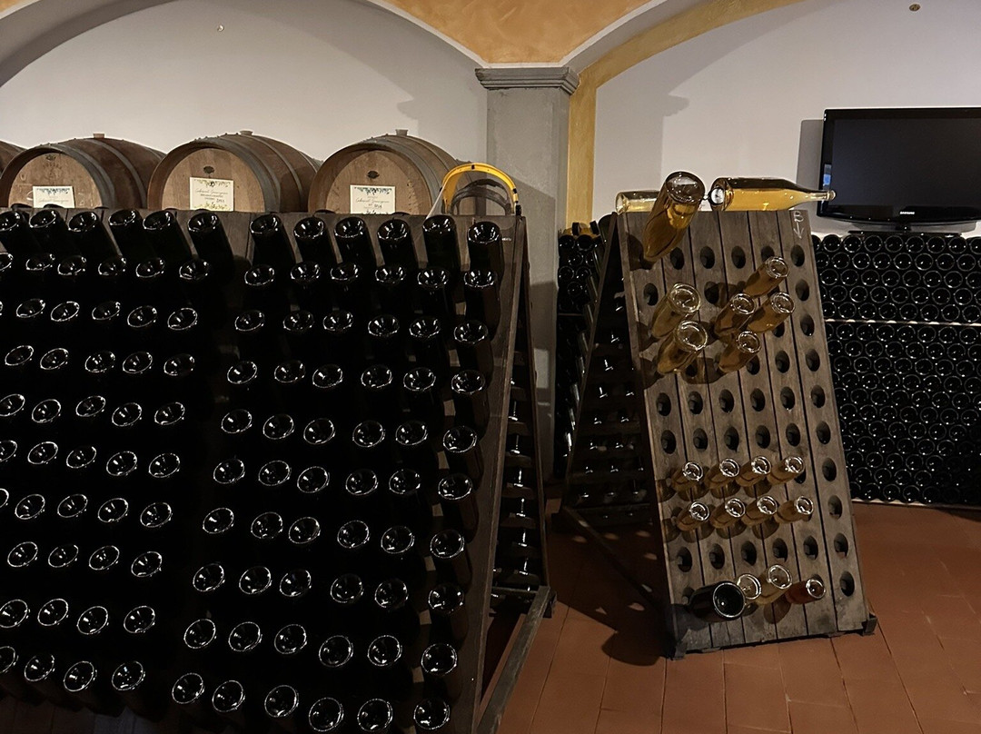 Cantina Tallarini | Tallarini Winery-Gandosso必去景点