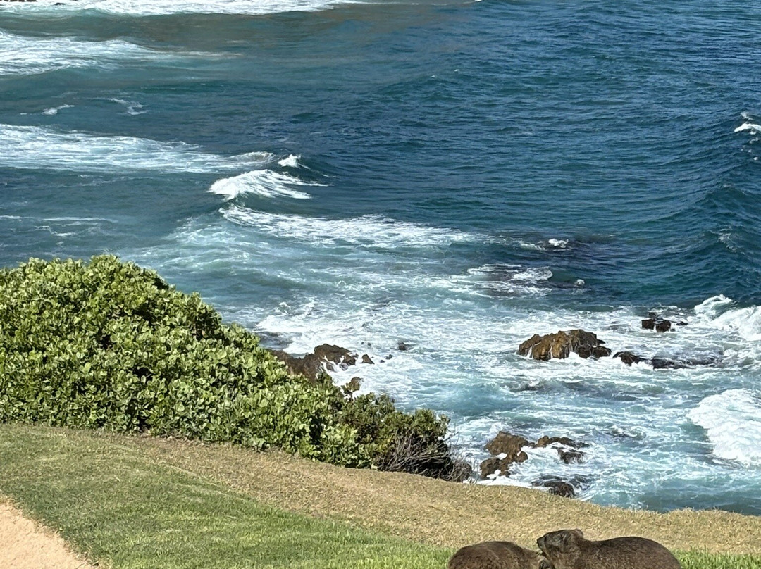 Pinnacle Point Golf Club-莫塞尔贝必去景点