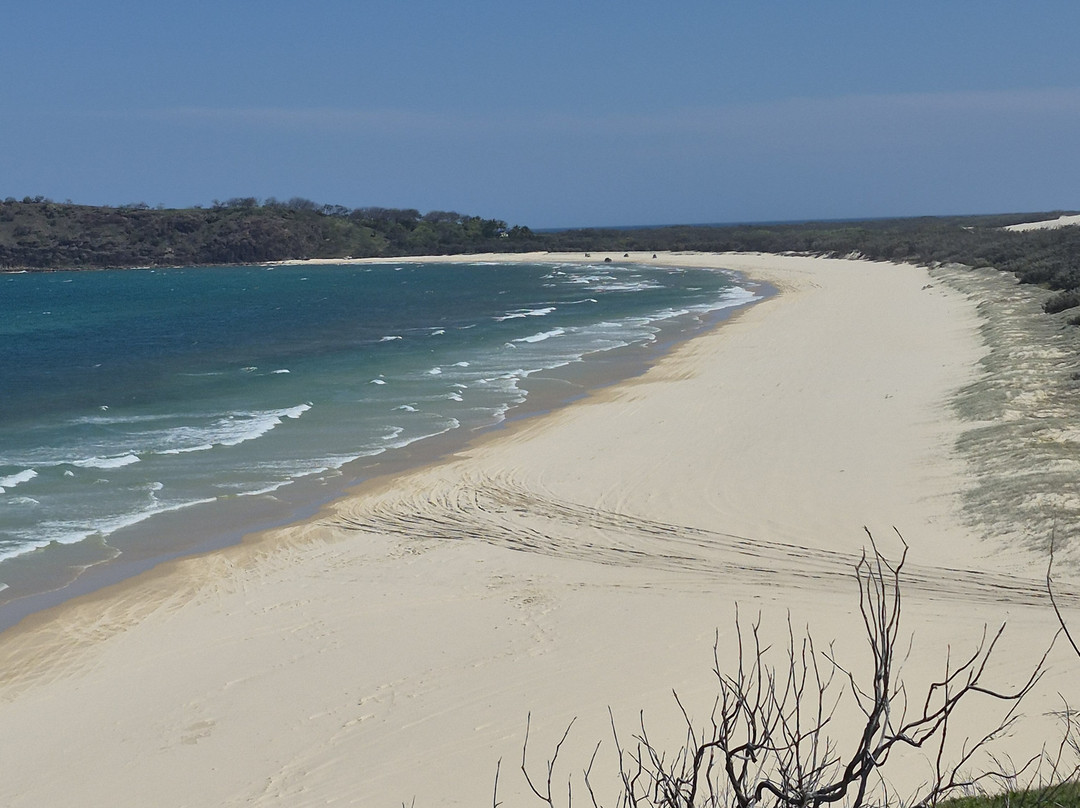 Fraser Island-赫维湾必去景点