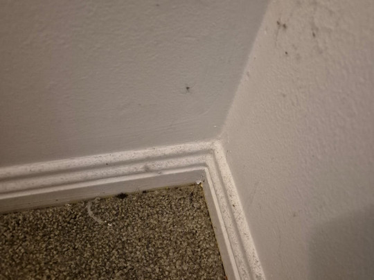 海湾别墅度假村主图